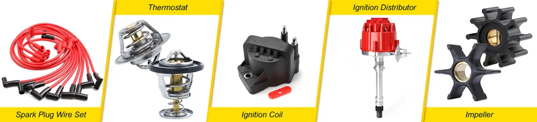 Wholesale Good Quality Engine Parts Ignition Coil for Great Wall SA220 V240 X240 2.2L 2.4L Delphi 19005338 19005270 Acdelco, 19375335